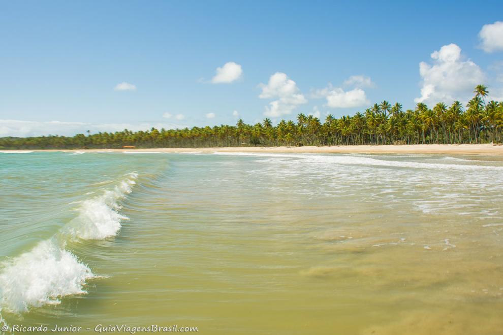 Imagem das águas cristalinas e dos coqueiros em toda orla da Praia da Cueira.